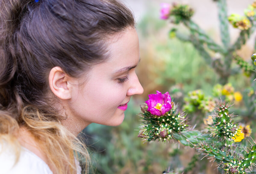 Allergy Relief and Treatment for Your Seasonal Allergies in Arizona